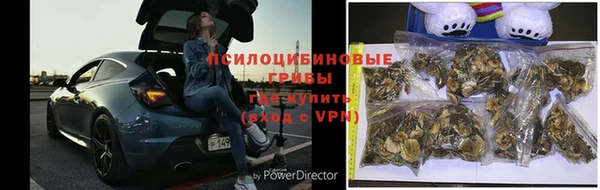 МДПВ Ельня