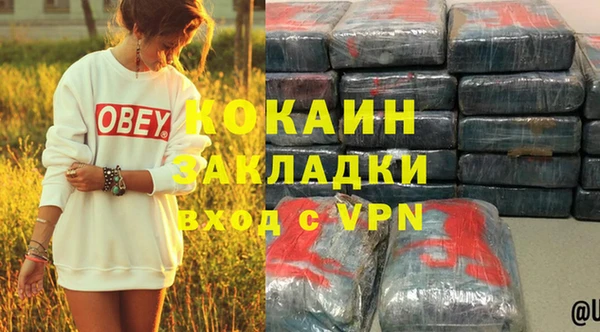 МДПВ Ельня