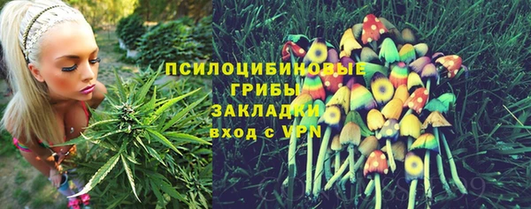 МДПВ Ельня