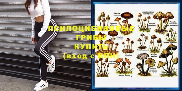 МДПВ Ельня