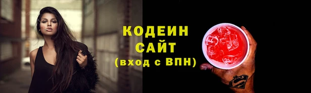 МДПВ Ельня