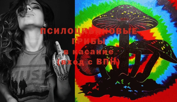 гидропоника Елизово