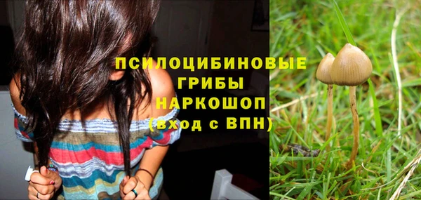 2c-b Елабуга