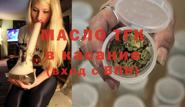 МДПВ Ельня